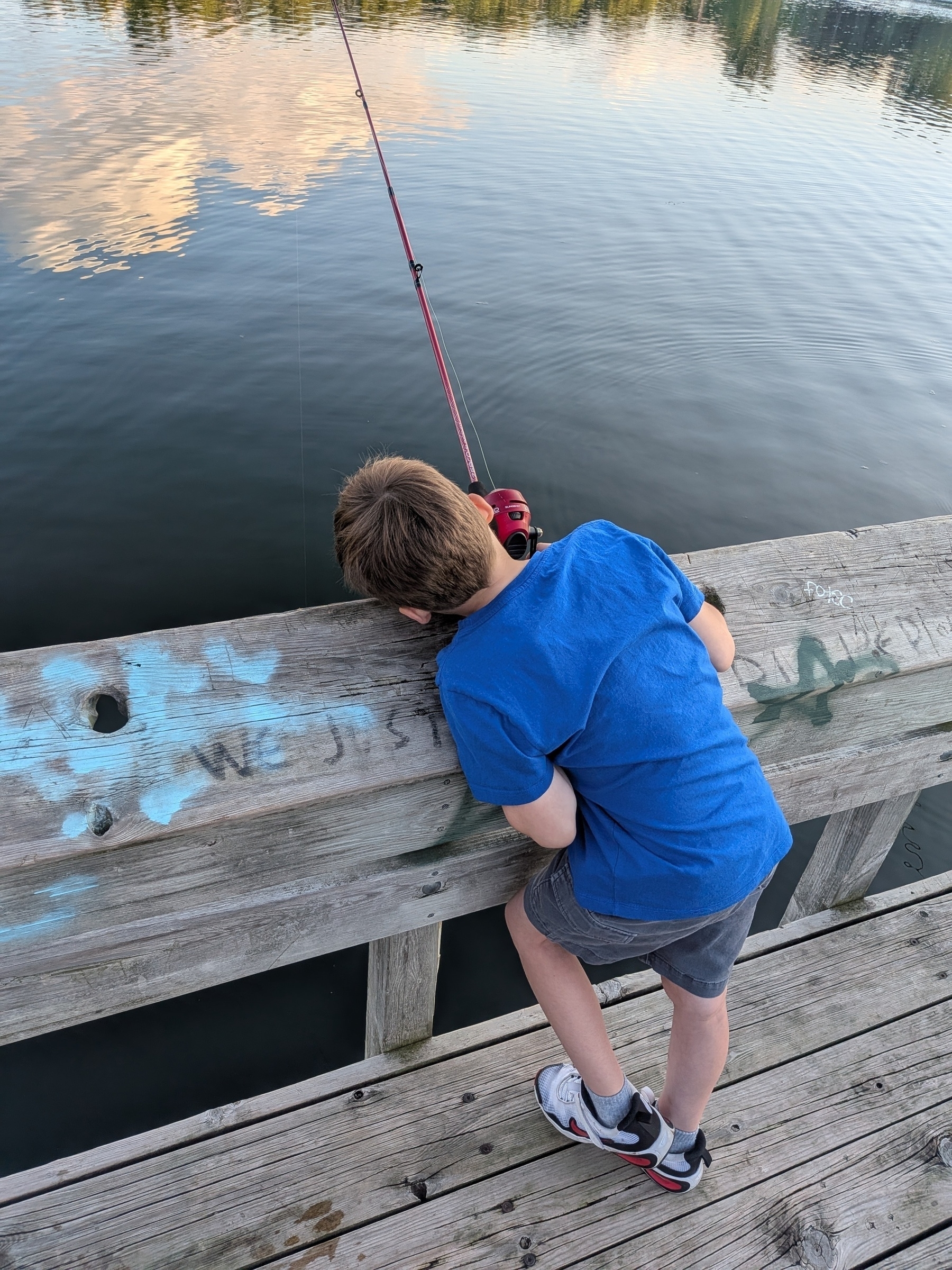A child in a blue shirt is fishing off a wooden dock while looking into the water.